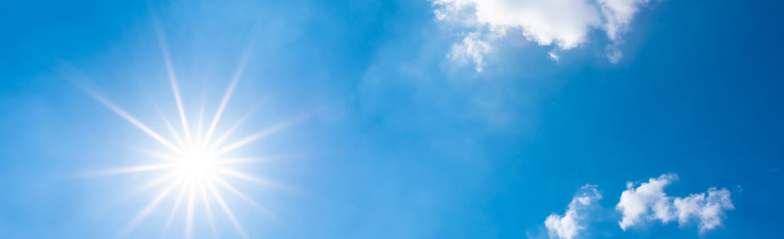 Is it too hot to walk your dog? UK vet-backed advice from the RSPCA and PDSA on safe temperatures, warning signs and how to cool your dog down.