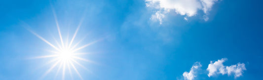 Is it too hot to walk your dog? UK vet-backed advice from the RSPCA and PDSA on safe temperatures, warning signs and how to cool your dog down.