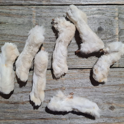 Rabbit Feet x 7